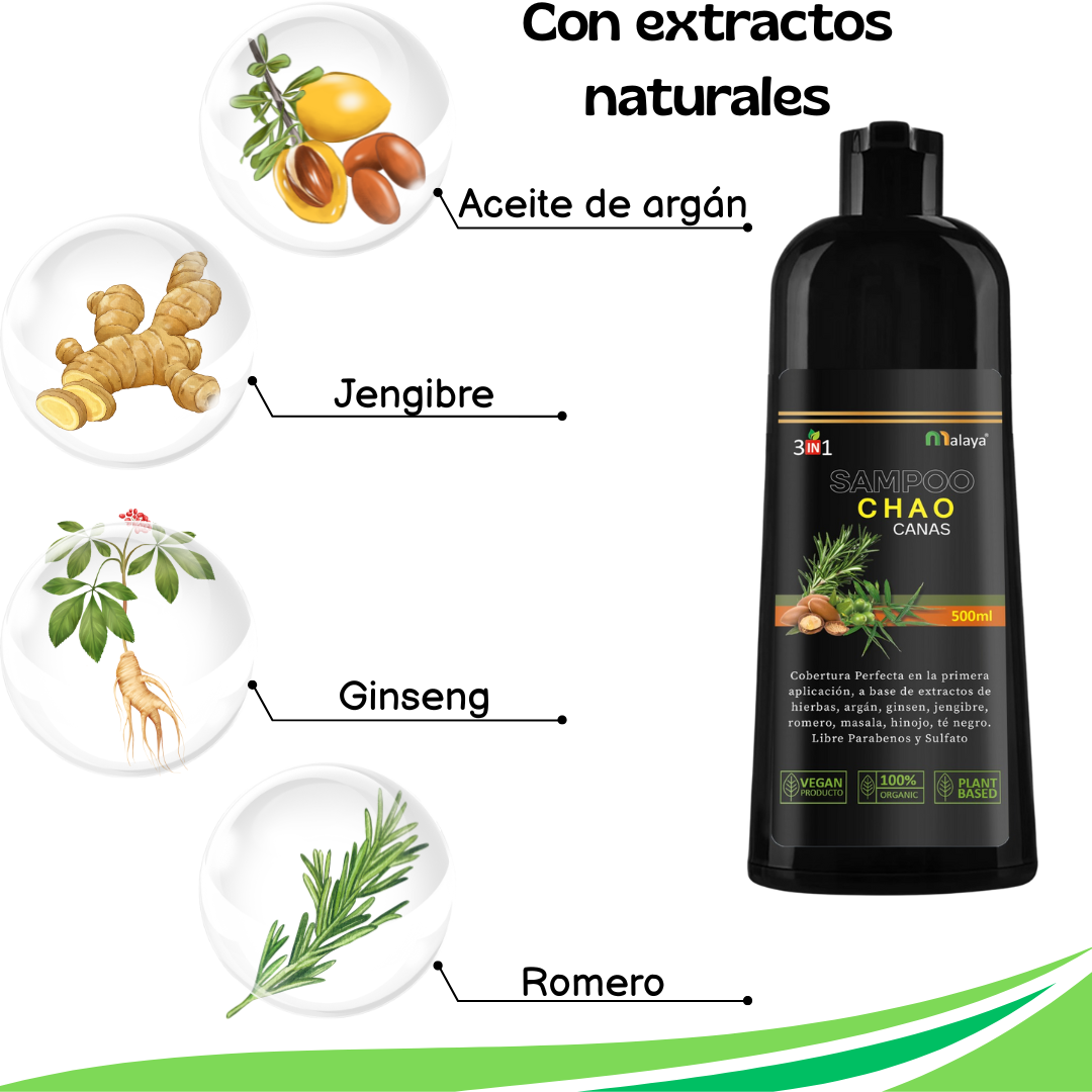 Sistema de recuperación de color 2 en 1 + Obsequio